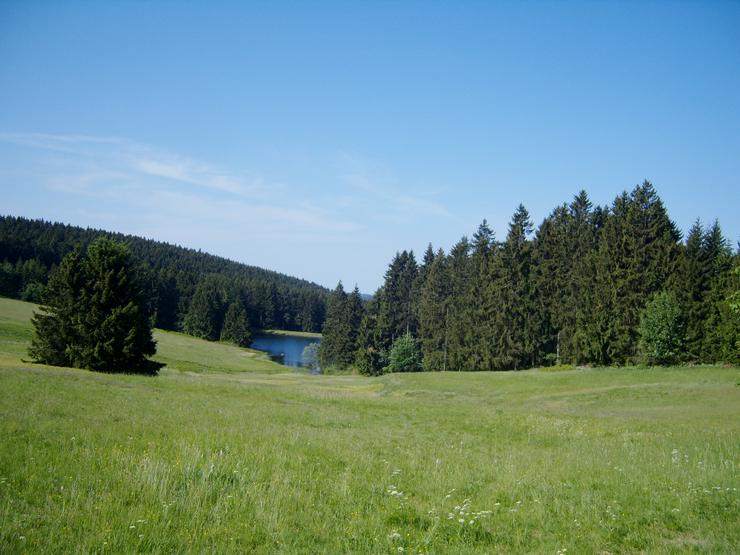 Bild 16: Ferienwohnung in Altenau im Oberharz 3 volle Tage