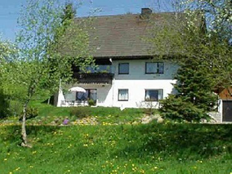 Erholen im Hochschwarzwald: 4-Sterne-Wohnung - Ferienwohnung Schwarzwald - Bild 1