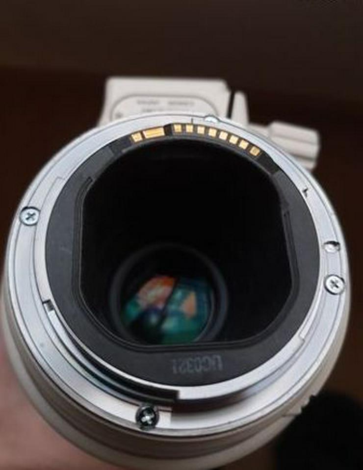 Bild 3: Objektiv Canon 300mm f4 IS USM 
