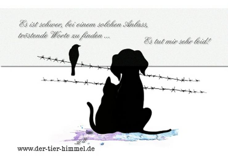 Bild 7: Trauerkarten für Tiere + Kerzen anzünden