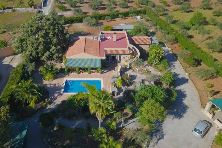 Bild 18: Zu verkaufen 4600 m² Grundstück mit 2 Einfamilien Häuser und 2 Appartments & Swimming Pool in Malaga Spanien
