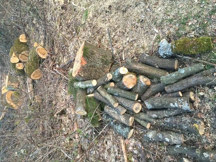 Bild 3: Brennholz für Selbstabholer