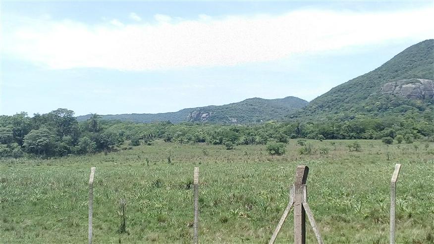 Bild 9: 18 ha Grundstück in der Gemeinde La Colmena, Paraguay