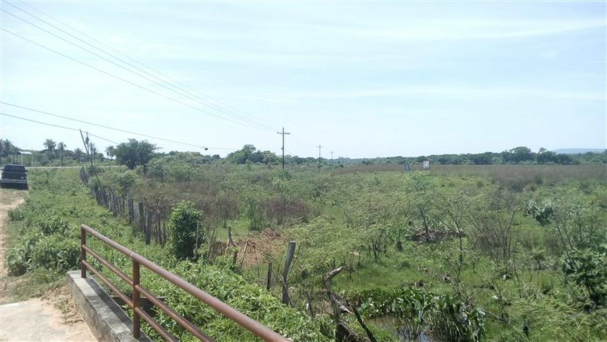 Bild 2: 18 ha Grundstück in der Gemeinde La Colmena, Paraguay