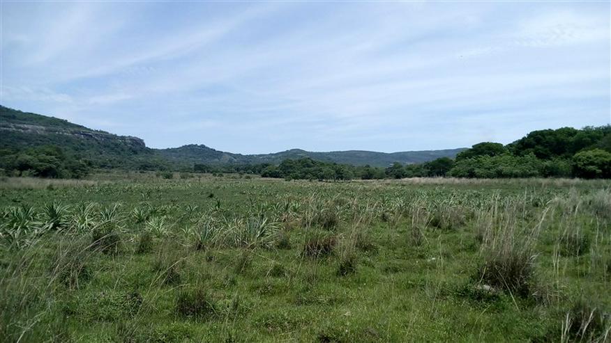Bild 10: 18 ha Grundstück in der Gemeinde La Colmena, Paraguay