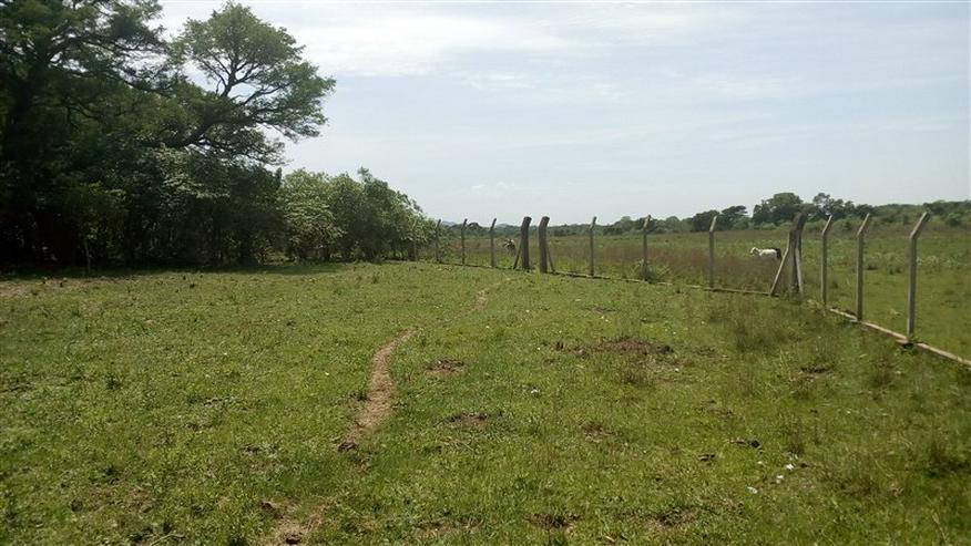 Bild 5: 18 ha Grundstück in der Gemeinde La Colmena, Paraguay