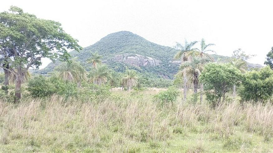 Bild 13: 18 ha Grundstück in der Gemeinde La Colmena, Paraguay