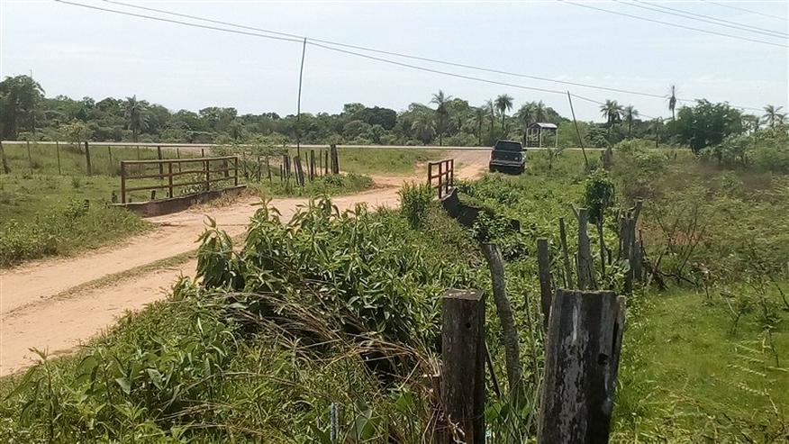 Bild 3: 18 ha Grundstück in der Gemeinde La Colmena, Paraguay