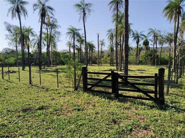 Bild 18: Gepflegtes Anwesen in Acahay, Paraguay