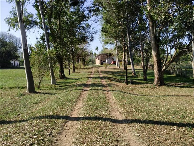 Bild 4: Gepflegtes Anwesen in Acahay, Paraguay