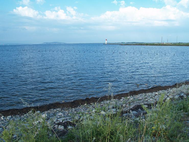 Bild 8: Südfrankreich am Meer: Languedoc, Marseillan