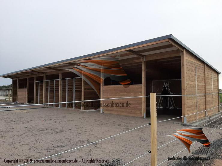 Bild 3: Den perfekten Pferdestall bauen: Außenboxen TOP Pferdebox, Offenstall kaufen & Paddockbox - Stallbau und Offenstallhaltung mit Weidehütte und Fressgitter