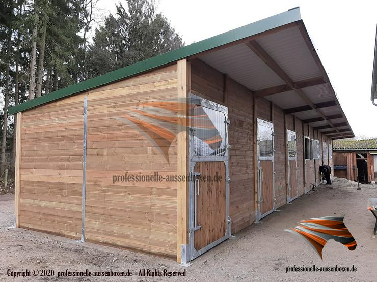Bild 5: Den perfekten Pferdestall bauen: Außenboxen TOP Pferdebox, Offenstall kaufen & Paddockbox - Stallbau und Offenstallhaltung mit Weidehütte und Fressgitter