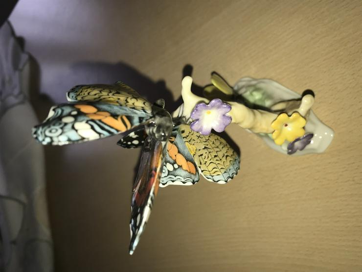 Bild 3: Schmetterlinge am Baumstamm (von Hutschenreuther) neuwertig 