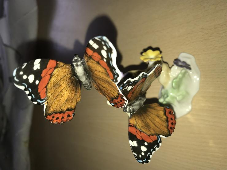 Schmetterlinge am Baumstamm (von Hutschenreuther) neuwertig  - Weitere - Bild 6