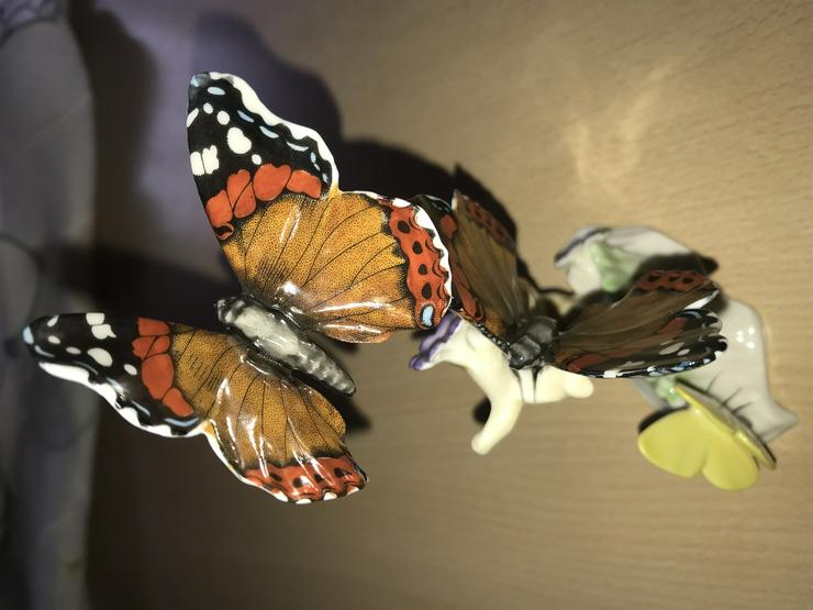 Bild 5: Schmetterlinge am Baumstamm (von Hutschenreuther) neuwertig 