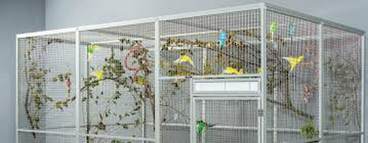 Alu Vogelvoliere zum Selbstabbau - Käfige - Bild 2