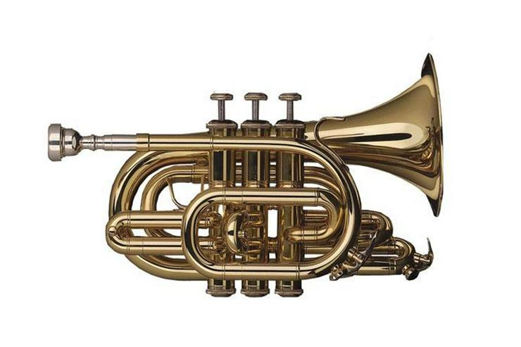 Schagerl Taschen - Trompete in B, NEU inkl. Leichtkoffer - Blasinstrumente - Bild 1