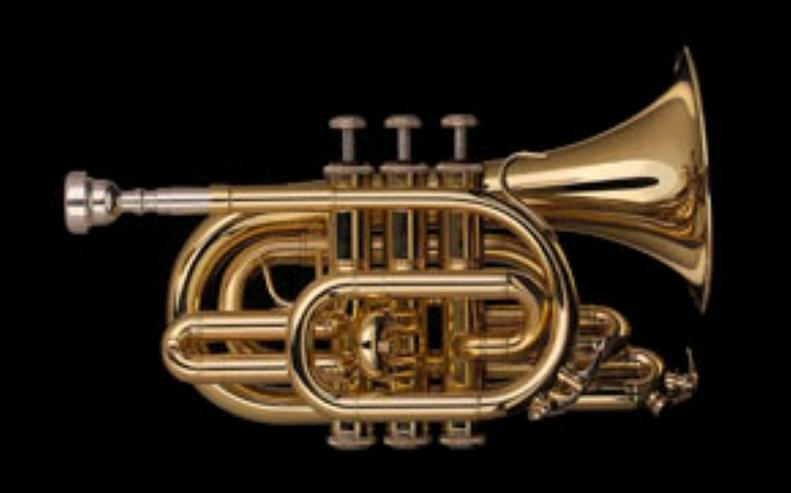 Bild 3: Schagerl Taschen - Trompete in B, NEU inkl. Leichtkoffer