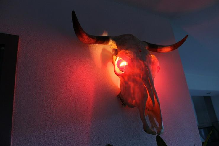 Bild 3: Wandlampe "Kuh", mit 2 roten Glühbirnen & Aufhängematerial