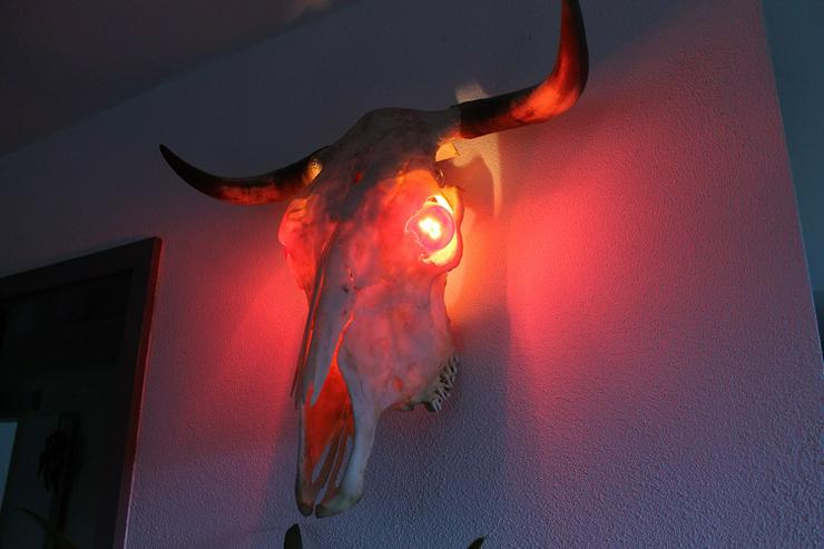 Bild 4: Wandlampe "Kuh", mit 2 roten Glühbirnen & Aufhängematerial