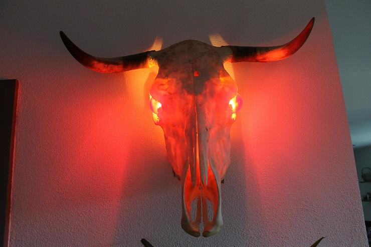 Bild 1: Wandlampe "Kuh", mit 2 roten Glühbirnen & Aufhängematerial