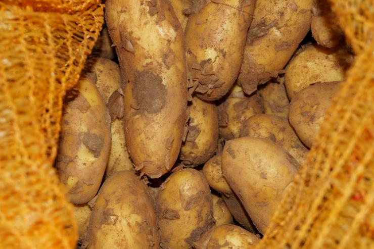 5kg Neue Deutsche Erntekartoffeln Sorte Annabelle