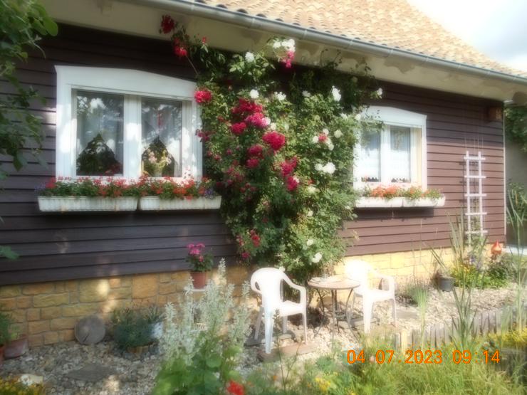 Bild 17: Vermiete sehr schöne Ferienwohnung/Apartment in Dankerode im Harz.
