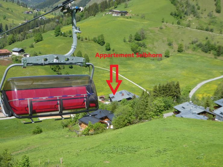 Bild 7: Ferienwohnung mit Schwimmbad Sauna und Hochkönigcard im Wandergebiet an Skipiste in Maria Alm