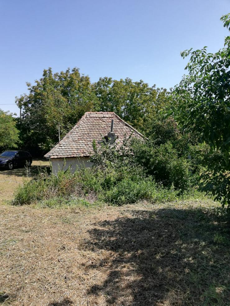 Bild 4: Grundstück in Ungarn Dombovar( Szölöhegy) 