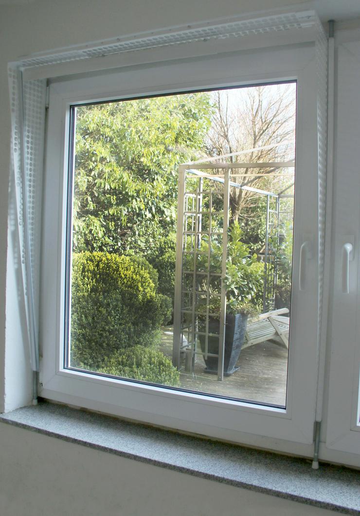 Bild 3: Kippfensterschutz für Vögel, OHNE BORHEN OHNE KLEBEN, SYSTEM4 mit Wellizubehör