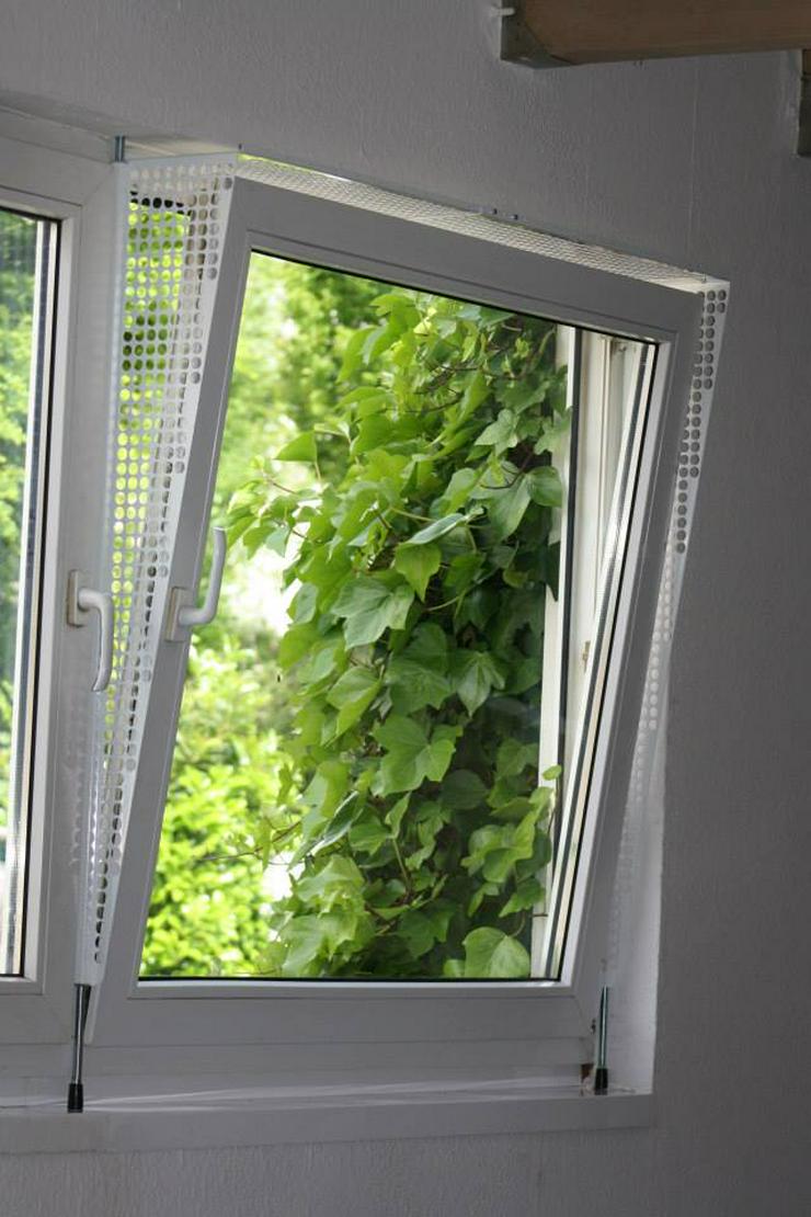 Bild 14: Kippfensterschutz für Vögel von austmetall, OHNE BORHEN OHNE KLEBEN, SYSTEM 4 + Wellizubehör