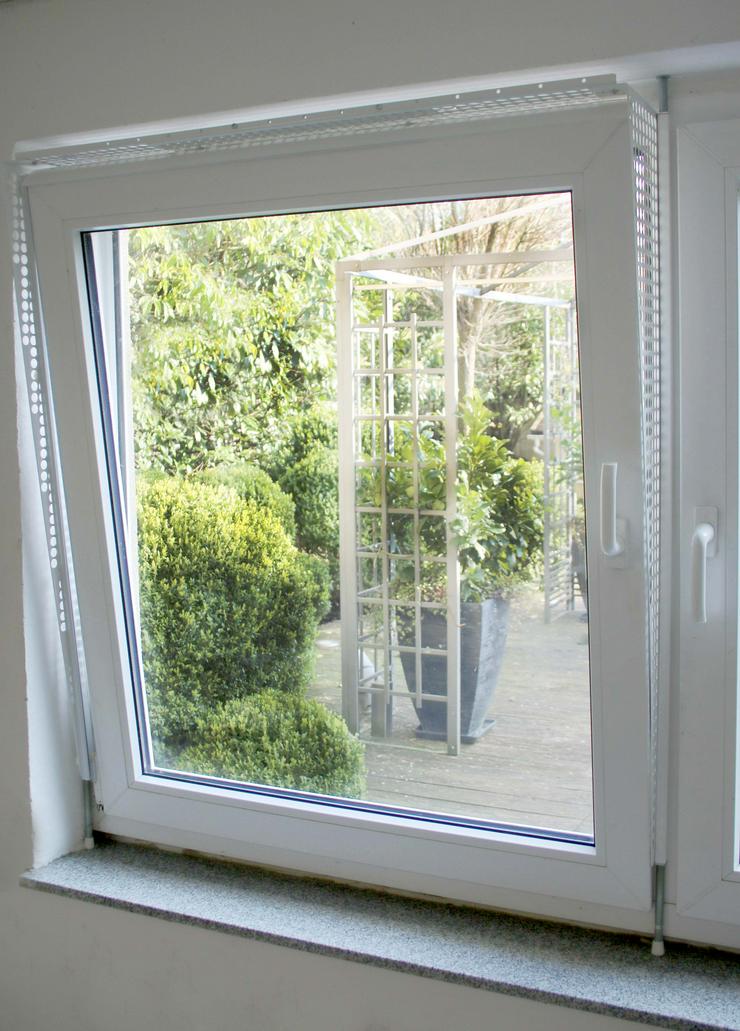 Bild 4: Kippfensterschutz für Vögel von austmetall, OHNE BORHEN OHNE KLEBEN, SYSTEM 4 + Wellizubehör