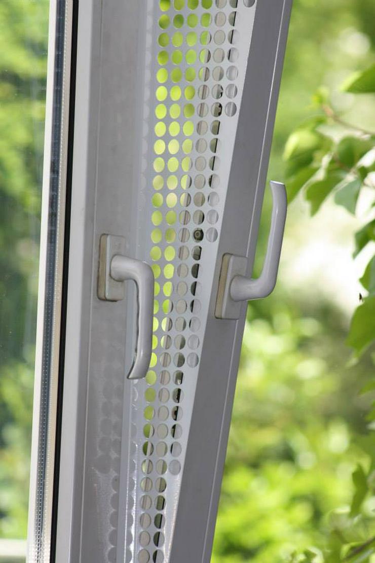 Bild 15: Kippfensterschutz für Vögel von austmetall, OHNE BORHEN OHNE KLEBEN, SYSTEM 4 + Wellizubehör