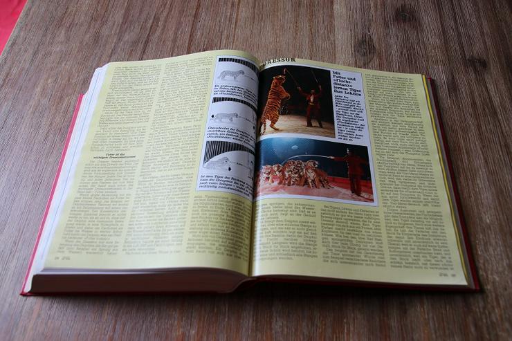 Peter Moosleitner’s Magazin-Sammlung, gebunden, 1981 - 1995 - Bücher & Zeitungen - Bild 6