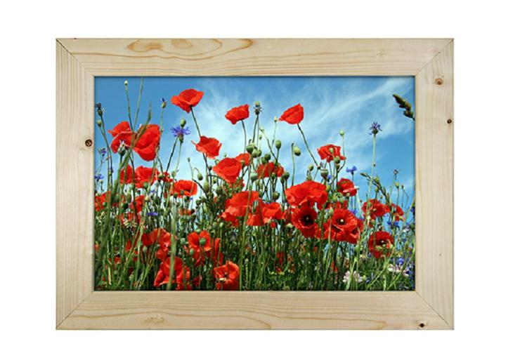 Holzbilderrahmen mit Fotografie “Mohn“, 72,5 x 53 cm