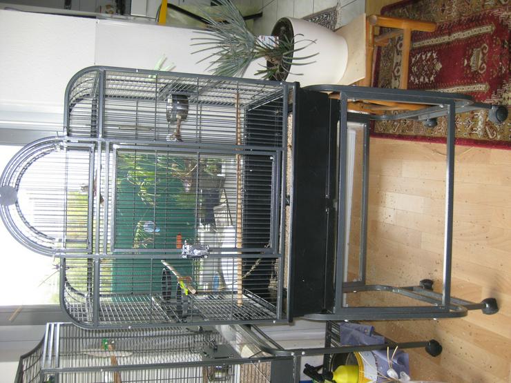 Bild 1: Vogelkäfig San Remo II - Antik von Montana Cages 