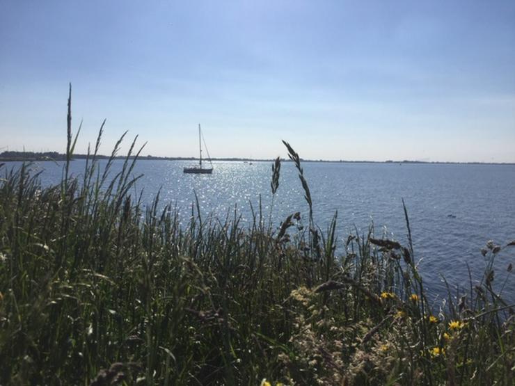 Ferienhaus in Ferienpark am Ijsselmeer - Ferienhaus Niederlande - Bild 8