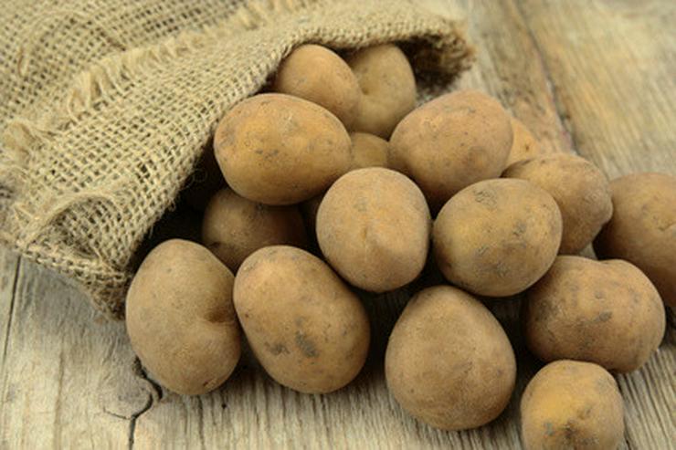 Bild 3: Agria Kartoffeln kaufen - Direkt vom Bauern zu Ihnen nach Hause! 9, 31 EUR für 10 kg
