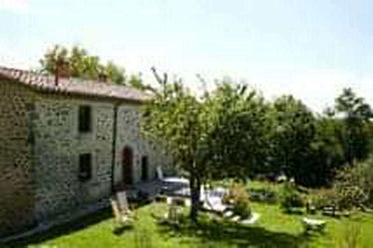 Bild 7: LANDHAUS/FERIENHAUS IN DER TOSCANA ZU VERMIETEN 