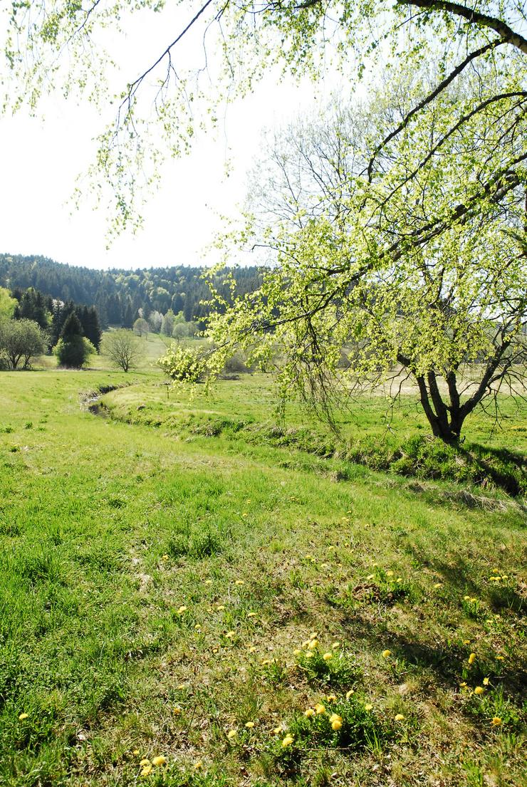 Bild 3: Ferienwohnung im Schwarzwald, Luftkurort Herrischried zu vermieten