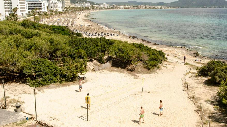 Cala Millor   MALLORCA bis 4 Pers Direkter Strandzugang - Wohnung mieten - Bild 1