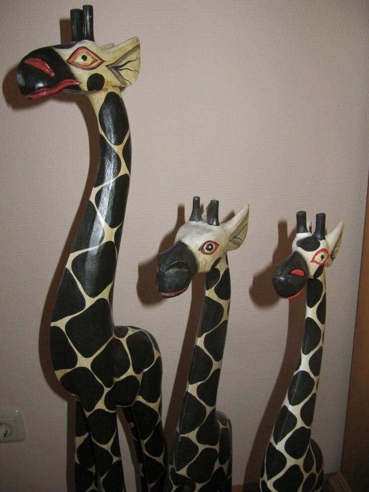 Bild 2: Drei Giraffen suchen ein nettes Zuhause.