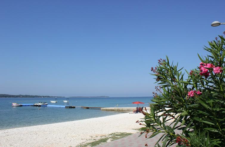 Bild 7: ⛱ Strandnahe ⭐️⭐️⭐️ Ferienwohnungen in Fazana Istrien Kroatien 