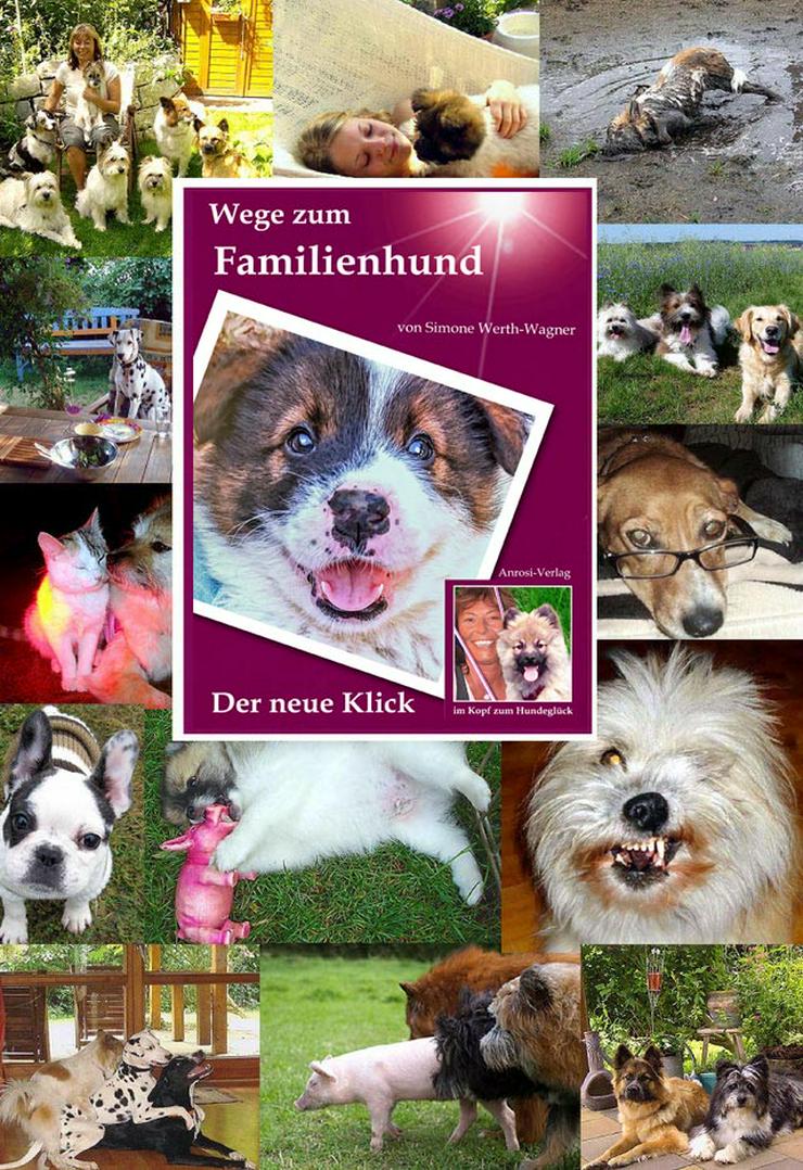 Buch Welpe Hund Familienhund Rasse Erziehung  - Tiere - Bild 2