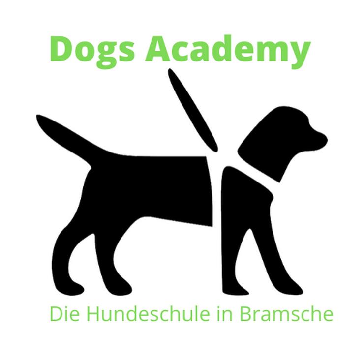 Bild 2: Hundeführerschein Niedersachsen Hundeschule Bramsche / Osnabrück