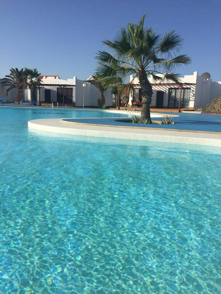 Bild 12: Bungalow auf Fuerteventura / Caleta de Fuste / Ferienhaus / Ferienwohnung