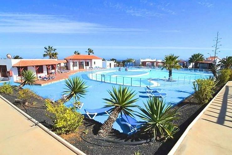 Bild 11: Bungalow Fuerteventura Caleta de Fuste Ferienwohnung Ferienhaus