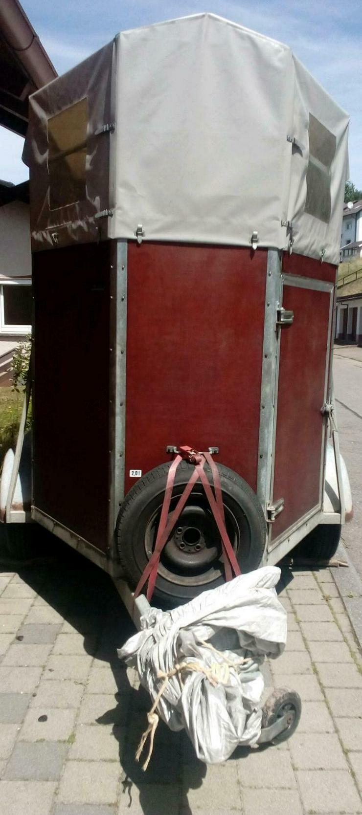 Bild 7: SIGG Pferdeanhänger 2000kg Viehtransporter TÜV bis 11/21