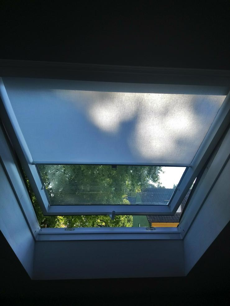 Dachfenster Velux gebraucht - zu Verschenken - Bild 1